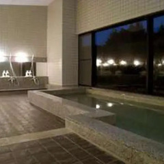 Utsunomiya Inter Resort Hotel Уцуномия бассейн