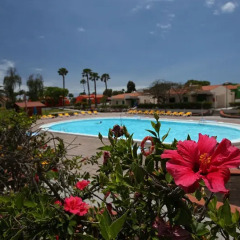 Отель Bungalows Colorado Golf Maspalomas бассейн фото 2