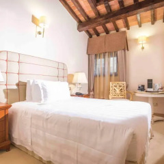 Golden Tower Hotel & Spa 5* Базовый номер с различными типами кроватей фото 2