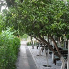 Konar Hotel Турция, Кемер - отзывы, цены и фото номеров - забронировать отель Konar Hotel - All Inclusive онлайн фото 3