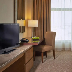 Отель Al Ghurair Rayhaan by Rotana Номер категории Премиум с различными типами кроватей фото 5