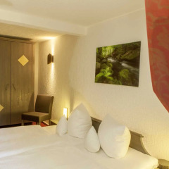 Отель Burghotel Stolpen комната для гостей фото 3