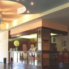 Alexandros Hotel гостиничный бар