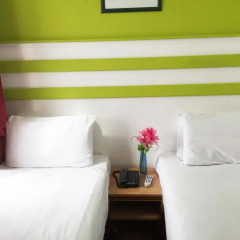Euro Wembley - Elm Hotel комната для гостей