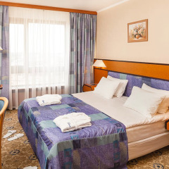 Гостиница Космос 3* Люкс с двуспальной кроватью