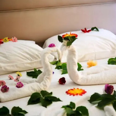 Sea Bird Hotel Турция, Алтинкум - отзывы, цены и фото номеров - забронировать отель Sea Bird Hotel онлайн спа