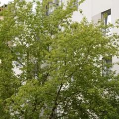 Hotel Aréna