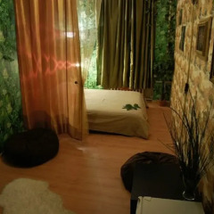 Hotel Hameleon комната для гостей фото 4