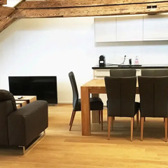 Отель Aparthotel Splendid in Zürich в номере фото 2