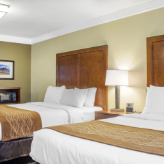 Отель Comfort Inn & Suites Durango комната для гостей фото 4