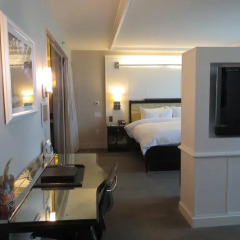 Hard Rock Hotel And Casino 4* Люкс фото 4