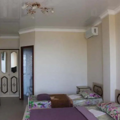 Гостиница Mirnaya Guest House в Сочи отзывы, цены и фото номеров - забронировать гостиницу Mirnaya Guest House онлайн комната для гостей фото 2