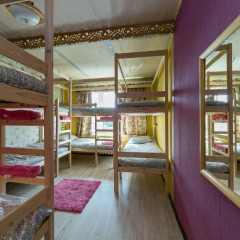 Гостиница Crazy Monkey Hostel next to the Moscow Zoo в Москве 4 отзыва об отеле, цены и фото номеров - забронировать гостиницу Crazy Monkey Hostel next to the Moscow Zoo онлайн Москва спа