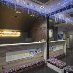 Butternut Tree Hotel интерьер отеля