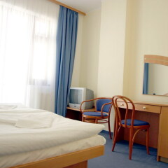 Hotel Ruze 4* Стандартный номер с различными типами кроватей фото 2