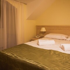 Гостиница Старосадский 3* Номер Эконом с двуспальной кроватью