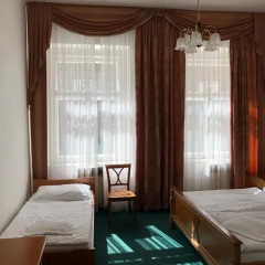 Отель Pension Brezina Prague 3* Номер Делюкс фото 4