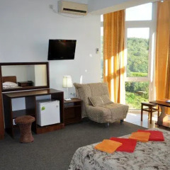 Гостиница Guest House Gornaya Orkhideya удобства в номере