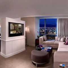 Hard Rock Hotel And Casino 4* Люкс фото 5