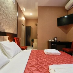 Elysium Hotel 3* Номер Комфорт с разными типами кроватей фото 3