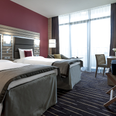 Гостиница Mercure Сочи Центр 4* Стандартный номер с двуспальной кроватью