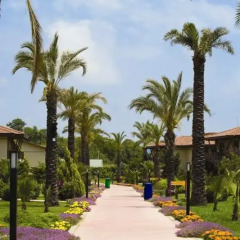 Club Hotel Felicia Village - All Inclusive Манавгат пляж фото 3
