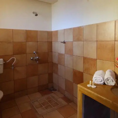 Отель Ala Goa Resort Индия, Гоа - 1 отзыв об отеле, цены и фото номеров - забронировать отель Ala Goa Resort онлайн ванная фото 3