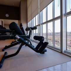 Отель DoubleTree by Hilton Turin Lingotto Италия, Турин - 1 отзыв об отеле, цены и фото номеров - забронировать отель DoubleTree by Hilton Turin Lingotto онлайн фитнесс-зал