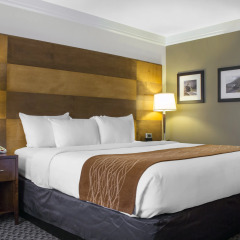 Отель Comfort Inn & Suites Durango комната для гостей фото 2