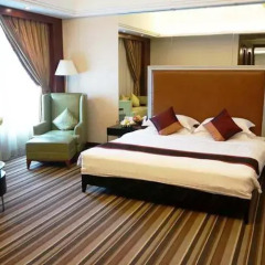 Imperial Hotel комната для гостей фото 3