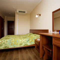 Well Hotel (Анапа) 3* Стандартный номер с разными типами кроватей фото 6