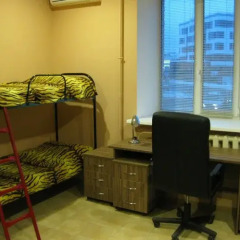Star House Hostel удобства в номере