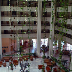 Blau Varadero Hotel развлечения