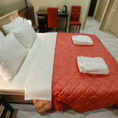 Elysium Hotel 3* Номер Делюкс с разными типами кроватей