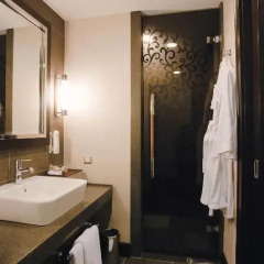 Cornelia Diamond Golf Resort & SPA 5* Стандартный номер с различными типами кроватей фото 3