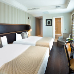 Отель Titanic Business Golden Horn 5* Стандартный номер с различными типами кроватей фото 3