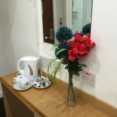 Euro Wembley - Elm Hotel в номере
