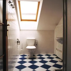 Отель Pension Brezina Prague 3* Номер Делюкс фото 9