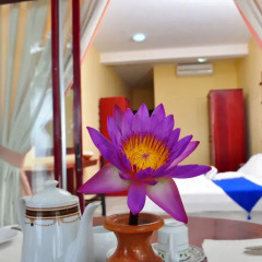 Отель WASANA Beach Hotel & Restaurant Шри-Ланка, Индурува - отзывы, цены и фото номеров - забронировать отель WASANA Beach Hotel & Restaurant онлайн комната для гостей