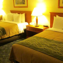 Отель Comfort Inn & Suites Канада, Саанич - отзывы, цены и фото номеров - забронировать отель Comfort Inn & Suites онлайн комната для гостей фото 8