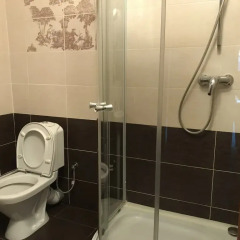 Onegin Mini-Hotel Стандартный номер с различными типами кроватей фото 15