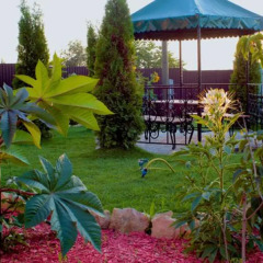 Гостиница Guest House Barin детские мероприятия фото 2