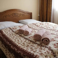 Mini Hotel Aska 3* Стандартный номер с разными типами кроватей фото 2
