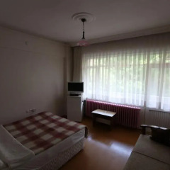 Thermal Saray Hotel 2* Стандартный номер с различными типами кроватей фото 7