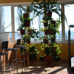 Гостиница Guest House Kseniya фитнесс-зал