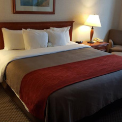 Отель Comfort Inn & Suites Канада, Саанич - отзывы, цены и фото номеров - забронировать отель Comfort Inn & Suites онлайн комната для гостей фото 6