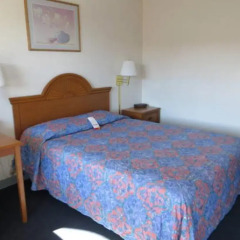 Отель Skyline Motel США, Лас-Вегас - отзывы, цены и фото номеров - забронировать отель Skyline Motel онлайн комната для гостей фото 2