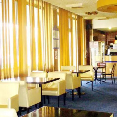 Intourist-Zakarpattya Hotel гостиничный бар