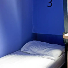The White Tulip Hostel детские мероприятия фото 3