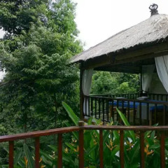 Отель Jerejak Rainforest Resort Малайзия, Пенанг - отзывы, цены и фото номеров - забронировать отель Jerejak Rainforest Resort онлайн балкон